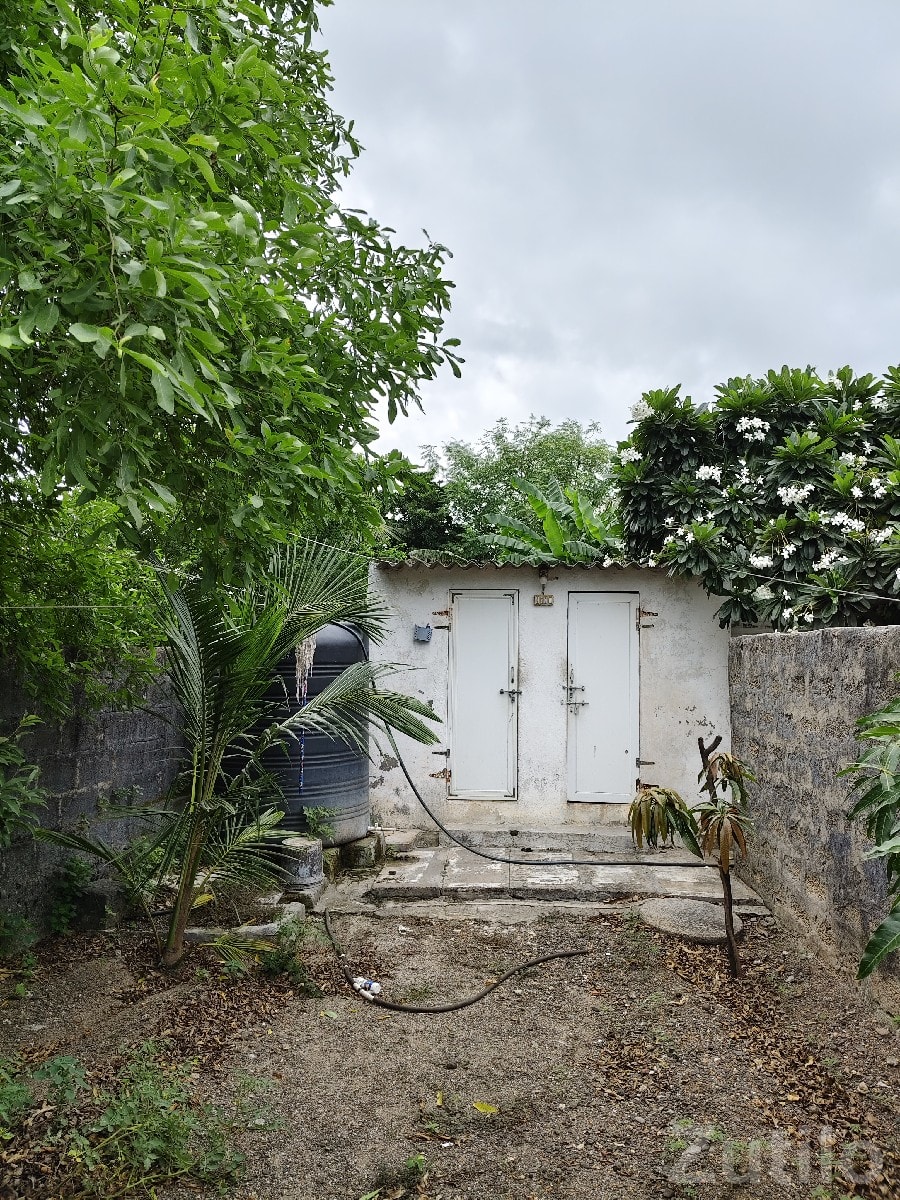 House with Open Yard for Sale in Kalyanpur - House for Sale - Kalyanpur - Image 3