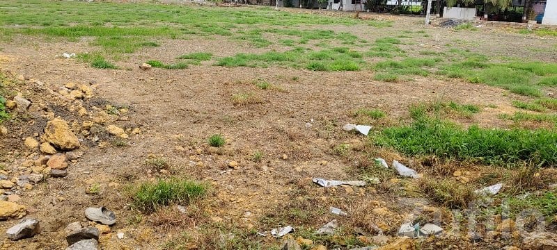 Road Touch Plot for Sale Near Chorwad - Land & Plots - Mangrol - Image 2
