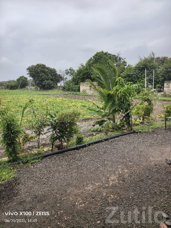 10 Vigha Industrial Land Plot for Sale - Land & Plots - Ranavav - Image 2