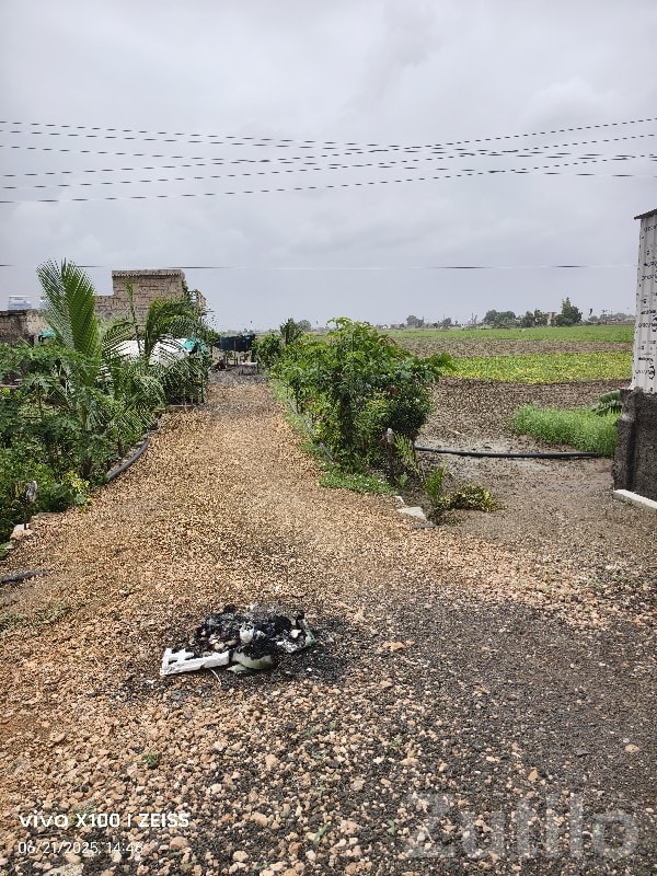 10 Vigha Industrial Land Plot for Sale - Land & Plots - Ranavav - Image 3