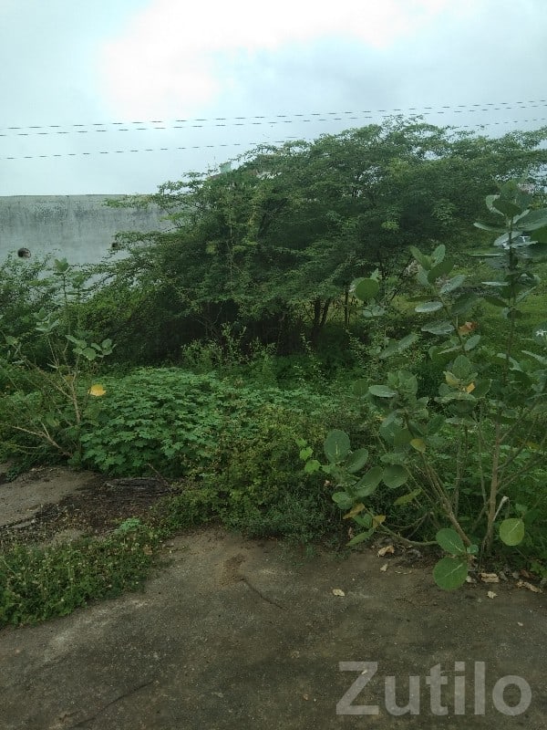 Dadhichi Township Residential Plot 107 Var - જમીન અને પ્લોટ - ભેસાણ - Image 3
