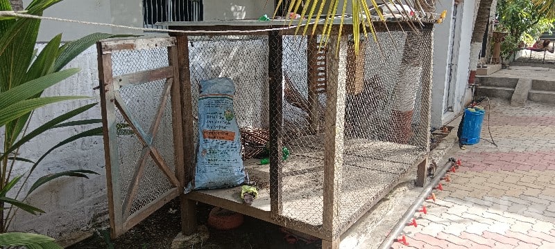Wooden Wire Mesh Animal Cage for Sale