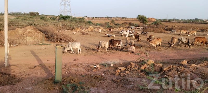 Road Touch Plot for Sale Bhatia Bypass