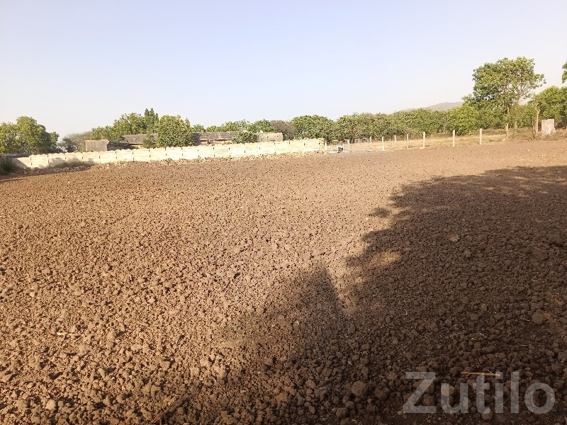 Industrial Zone Plot for Sale Manavadar - જમીન અને પ્લોટ - માણાવદર - Image 3