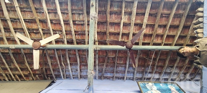 Old Ceiling Fans Set for Sale