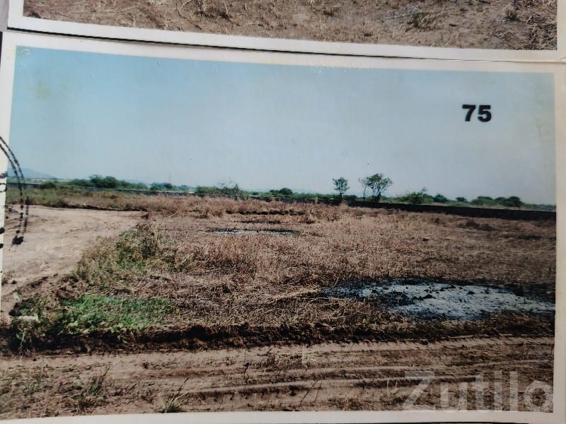 Corner Residential Plot Near Vanana Toll - Land & Plots - Ranavav - Image 2