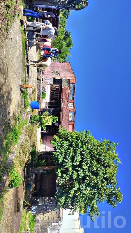 2 BHK House for Sale in Adityana - ઘર વેચાણ માટે - આદિત્યાણા - Image 2