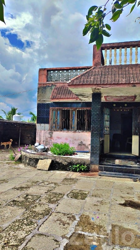 2 BHK House for Sale in Adityana - ઘર વેચાણ માટે - આદિત્યાણા - Image 3
