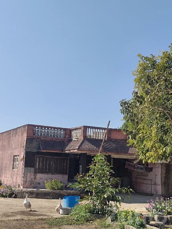 2 BHK House for Sale with Parking - ઘર વેચાણ માટે - આદિત્યાણા - Image 3