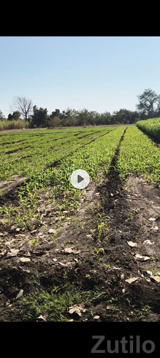6 Bigha Agricultural Land for Sale 6 Bigha Agricultural Land for Sale