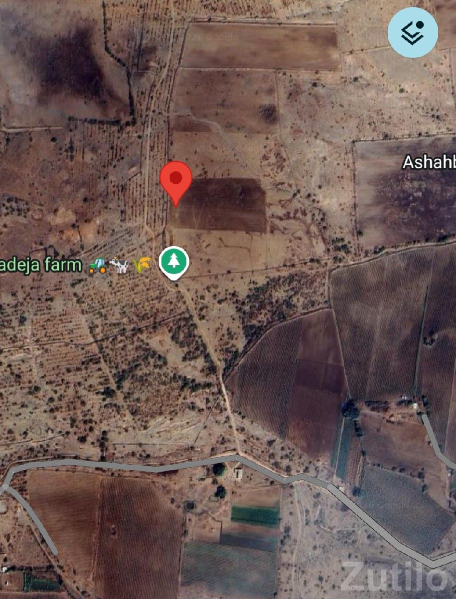 12.5 Bigha Open Land for Sale, Motirafudad - Land & Plots - Lalpur - Image 2