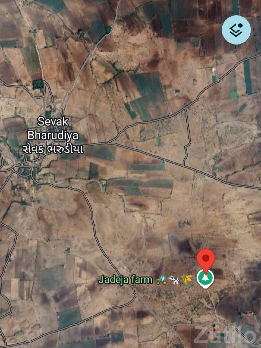 12.5 Bigha Open Land for Sale, Motirafudad - Land & Plots - Lalpur - Image 3