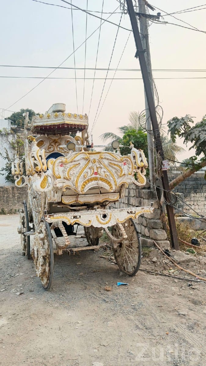 Decorated Wedding Buggy Carriage Rental - ભાડે વાહનો - ઊના - Image 3