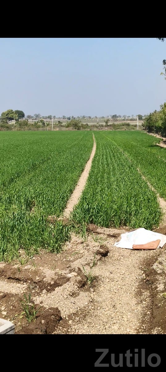 Agricultural Land for Sale Amreli Area Agricultural Land for Sale Amreli Area