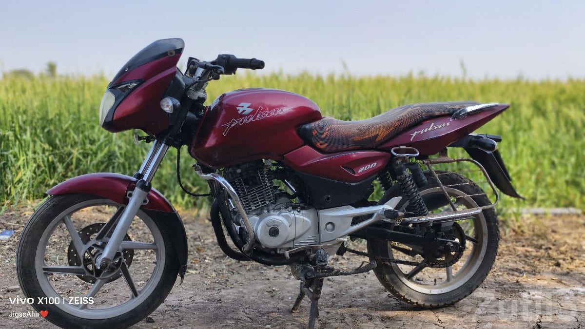 Bajaj Pulsar 150 2008 Model Bike for Sale - બાઇક્સ - માણાવદર - Image 3