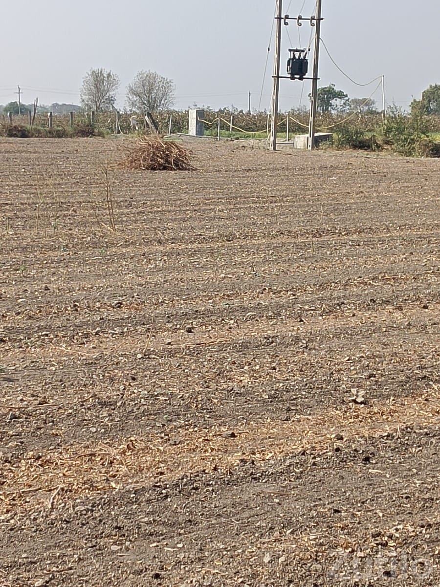 Agricultural Land for Sale in Khadiya - Land & Plots - Manavadar - Image 3