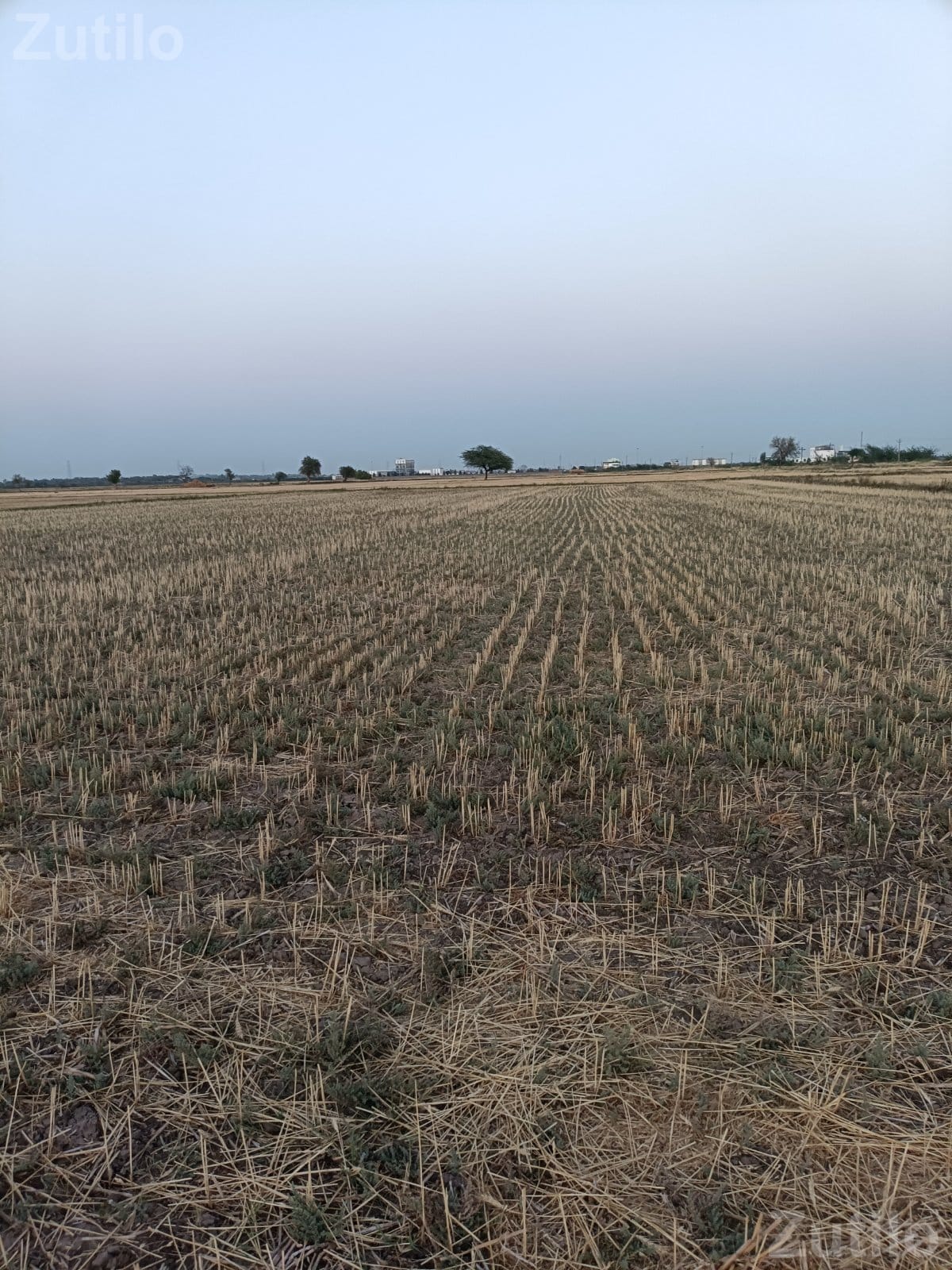 જમીન વેચવાની છે