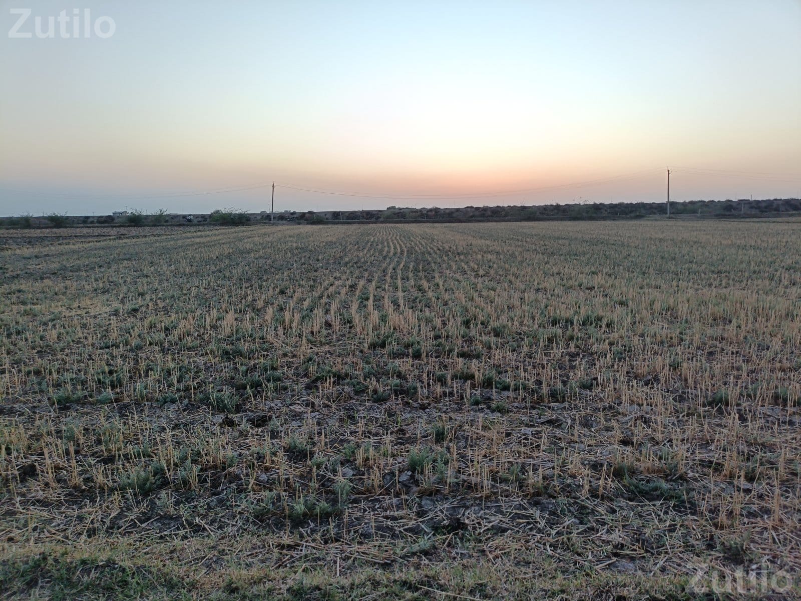 જમીન વેચવાની છે - Land & Plots - Khambhat - Image 3