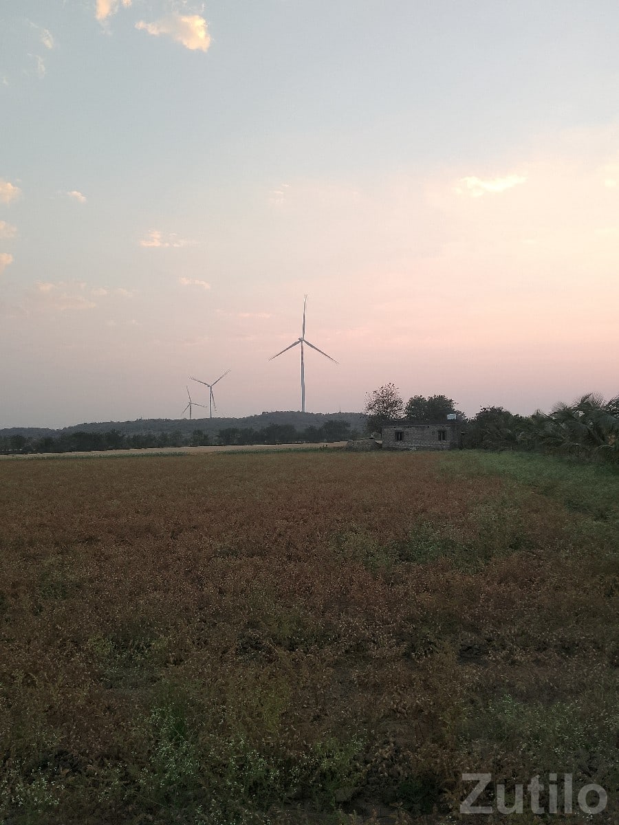 32 Bigha Irrigated Farm Land for Sale - Land & Plots - Upleta - Image 3
