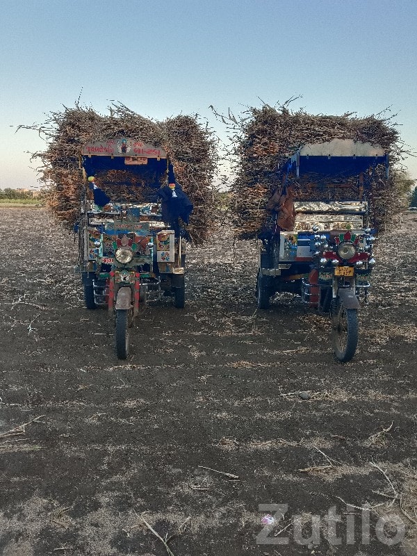 Three Wheeler Rental for Farm Work - Vehicle Rentals - Kalyanpur - Image 2