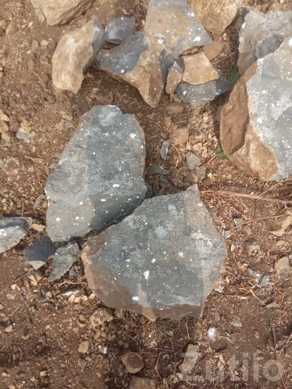 Rocky Land Plot for Sale near Jamnagar - Land & Plots - Khambhalia - Image 2
