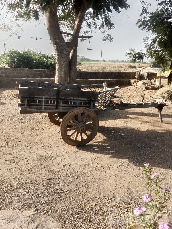 Heavy Duty Wooden Bullock Cart Trailer - બાંધકામના વાહનો - કેશોદ - Image 2