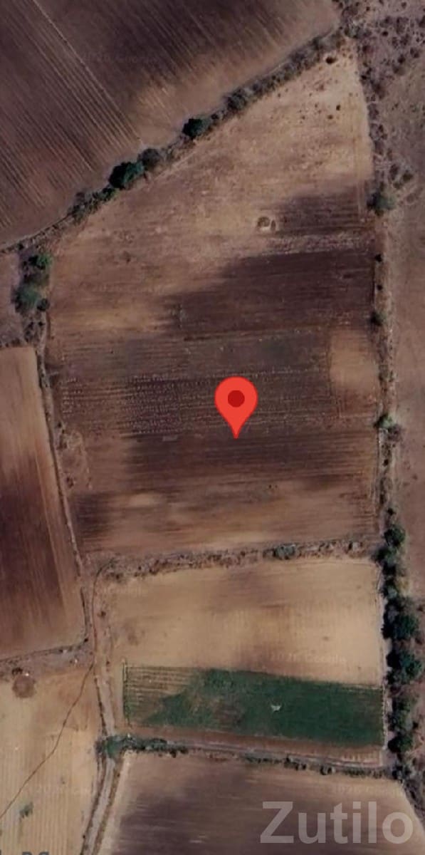12.5 Bigha Agricultural Land for Sale