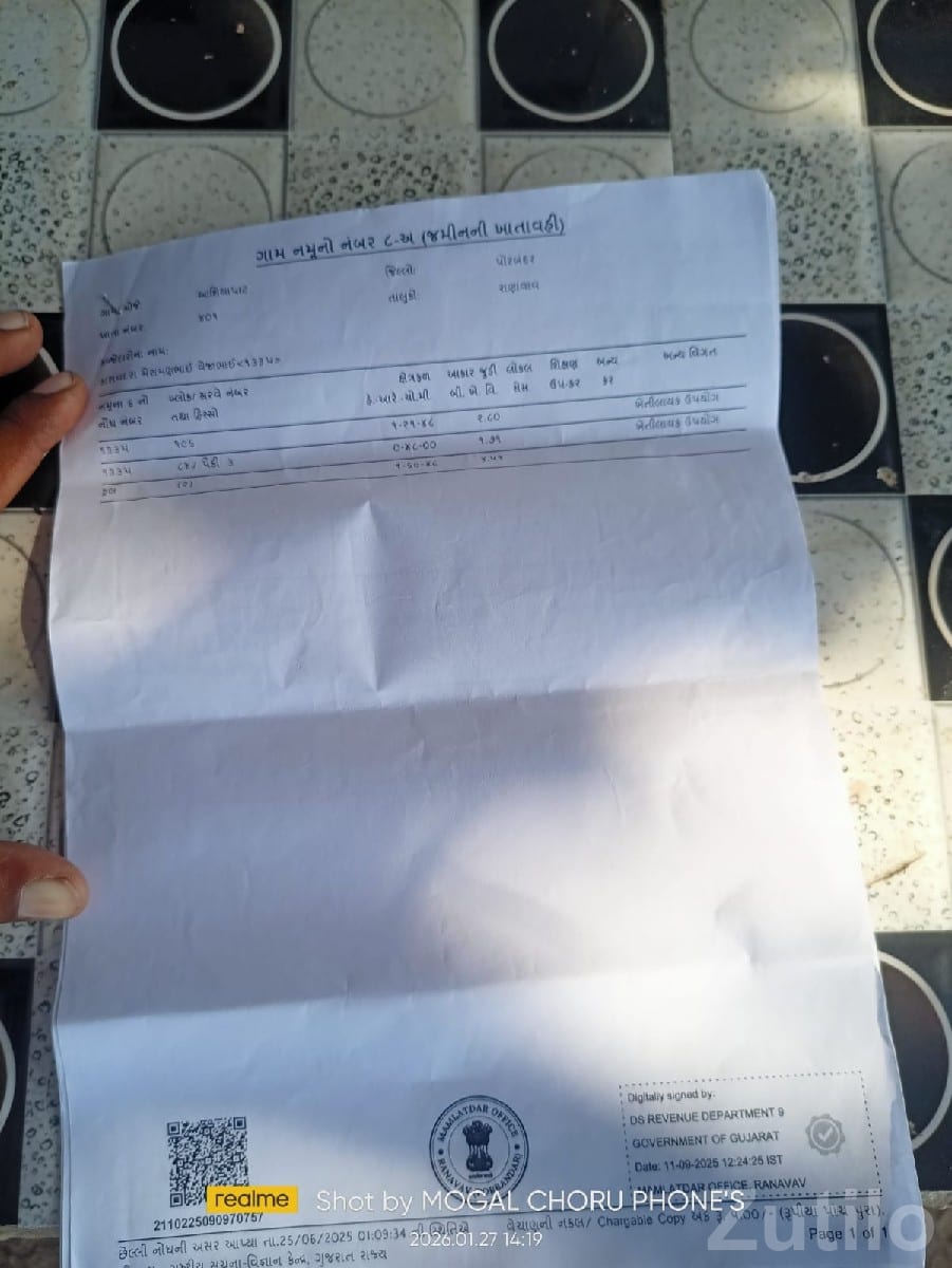 10 Vigha Agricultural Land with Mango Farm - જમીન અને પ્લોટ - રણાવાવ - Image 1