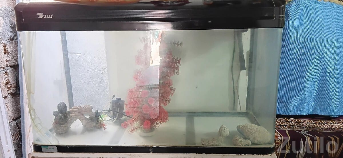 Large Glass Fish Aquarium With Stand - અન્ય શોખીન વસ્તુઓ - રાજકોટ શહેર - Image 3