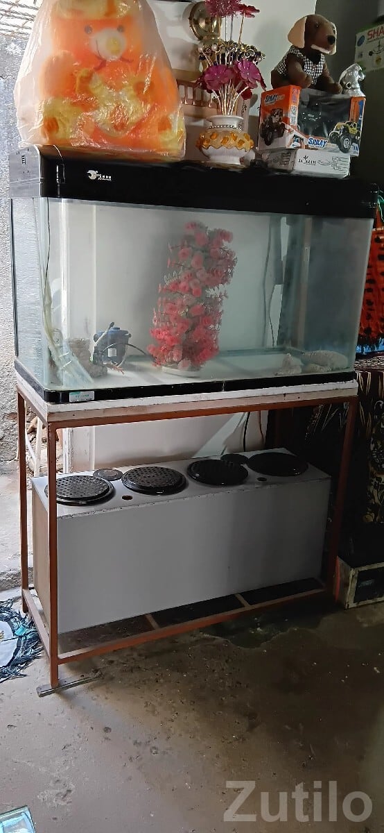 Large Glass Fish Aquarium With Stand - અન્ય શોખીન વસ્તુઓ - રાજકોટ શહેર - Image 2