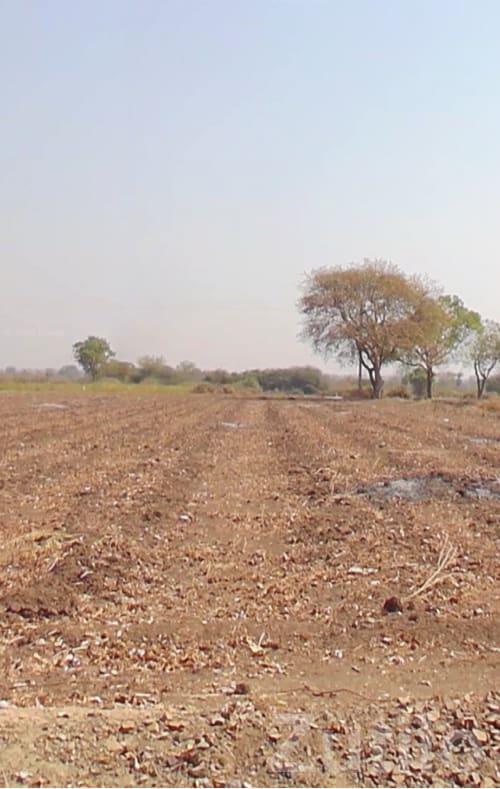4 Bigha Agricultural Land for Sale