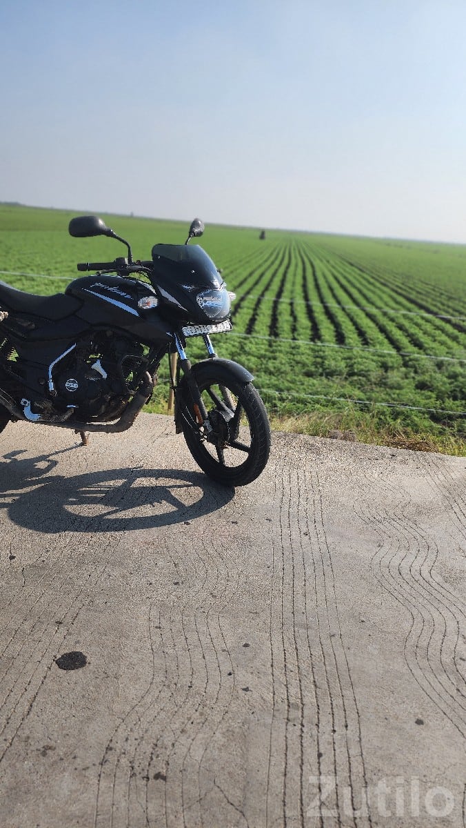 Bajaj Pulsar 125 Black Bike - Bikes - Mangrol - Image 3