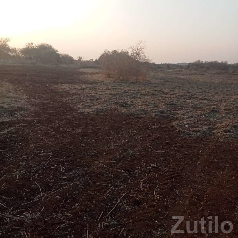 25 Vigha Agricultural Land for Sale - Land & Plots - Dhari - Image 3