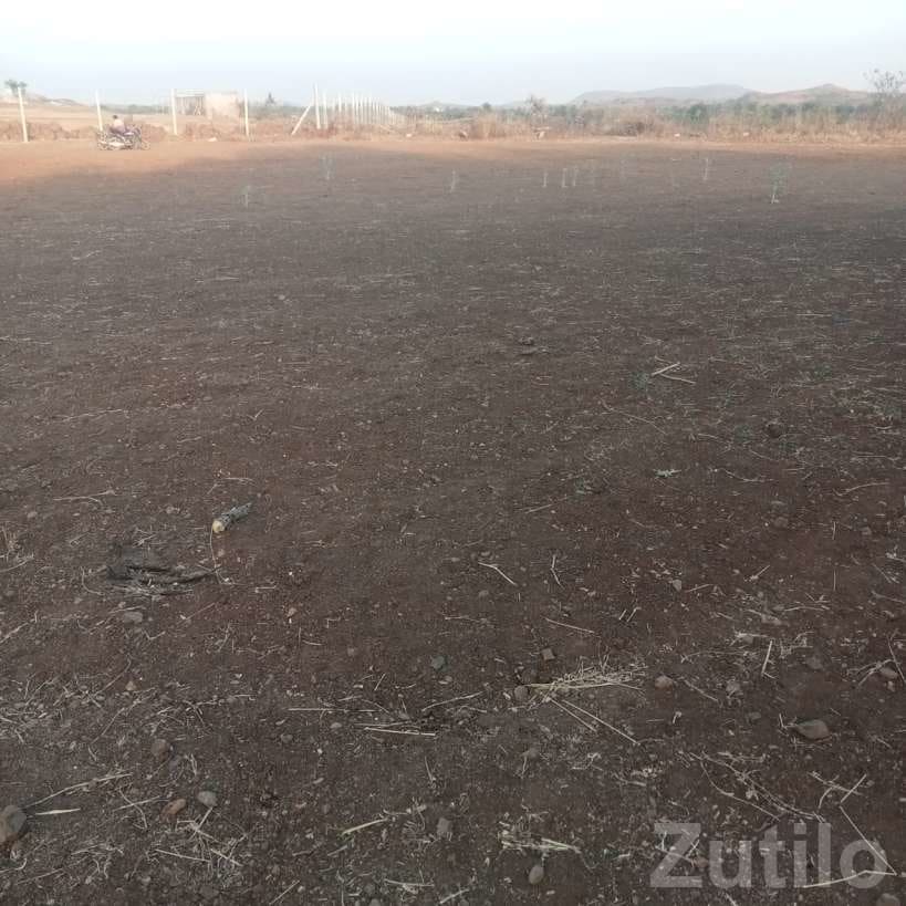 25 Vigha Agricultural Land for Sale