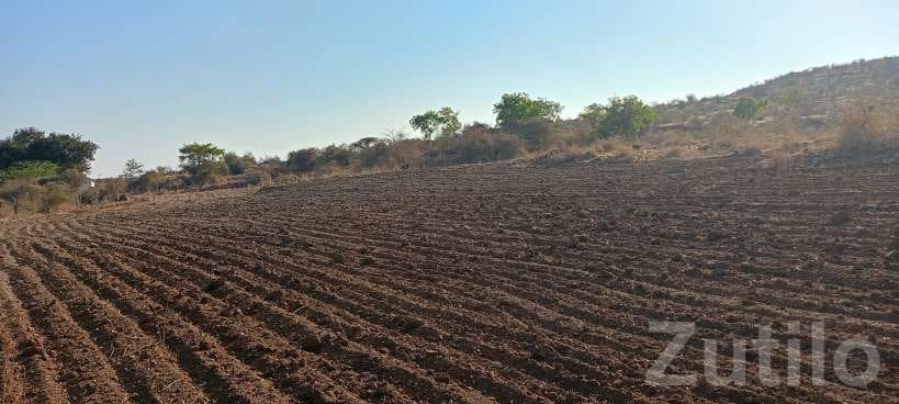 2.5 Vigha Agricultural Land for Sale - Land & Plots - Savarkundla - Image 2