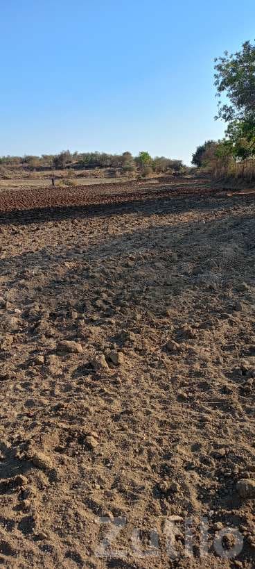 2.5 Vigha Agricultural Land for Sale