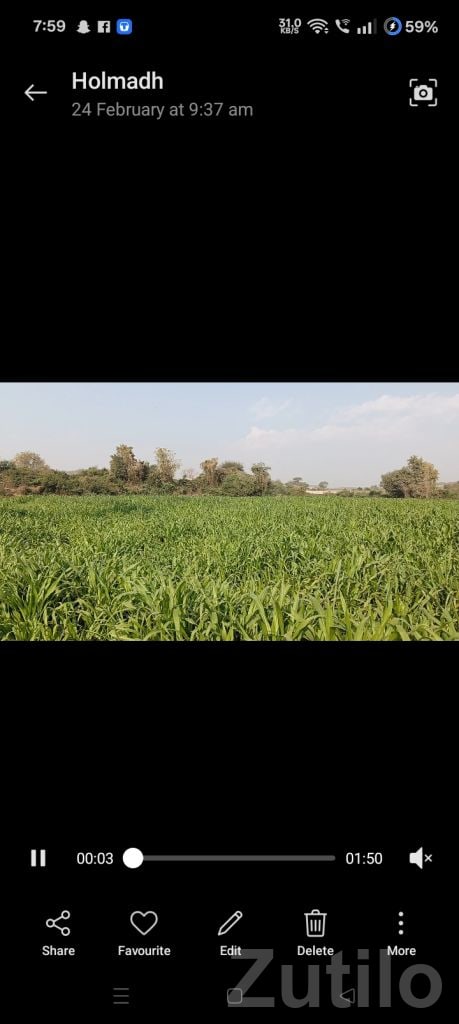 50 Guntha Agricultural Land for Sale