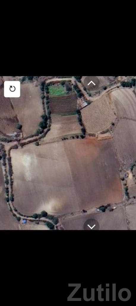4 Acre Agricultural Land with House for Sale - જમીન અને પ્લોટ - વાંકાનેર - Image 2