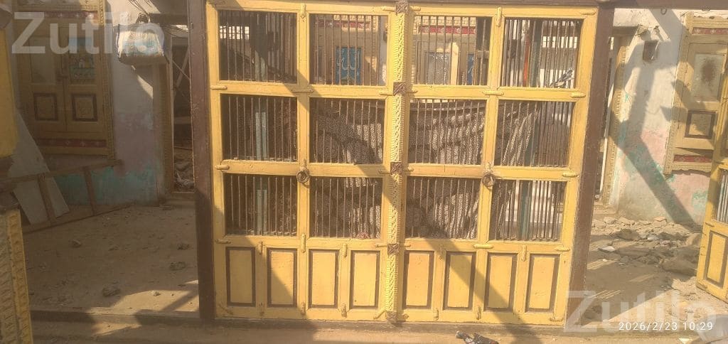 Wooden Jali Door Set with 4 Doors - Tools & Hardware - Rapar - Image 2
