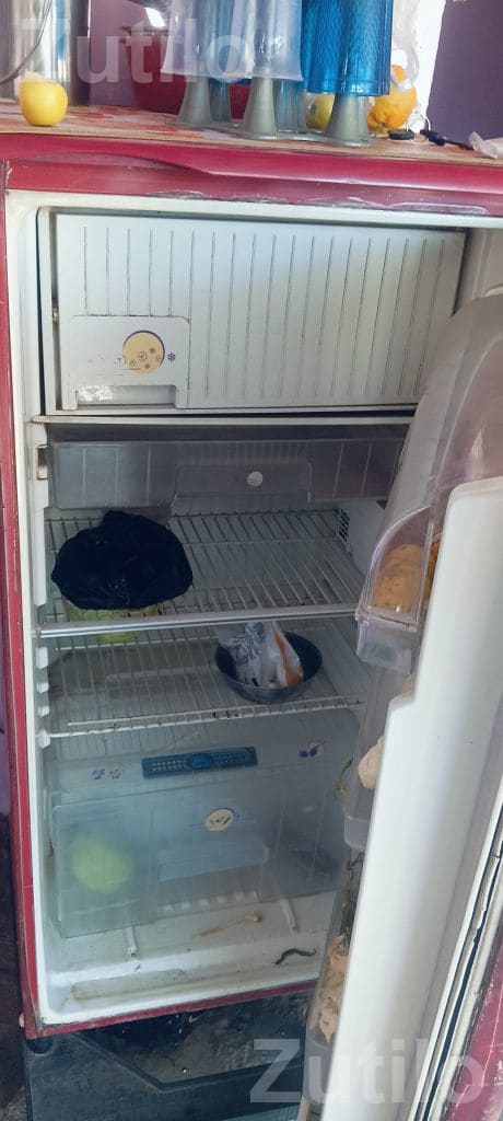 Single Door Refrigerator - ફ્રિજ - કોટડા સાંગાણી - Image 2
