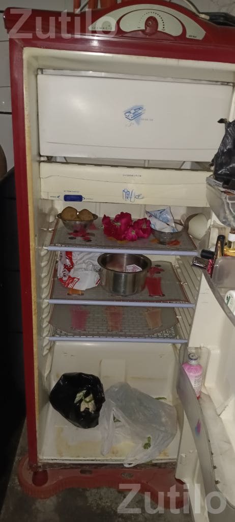 230 L Single Door Refrigerator - ફ્રિજ - પાલનપુર - Image 5