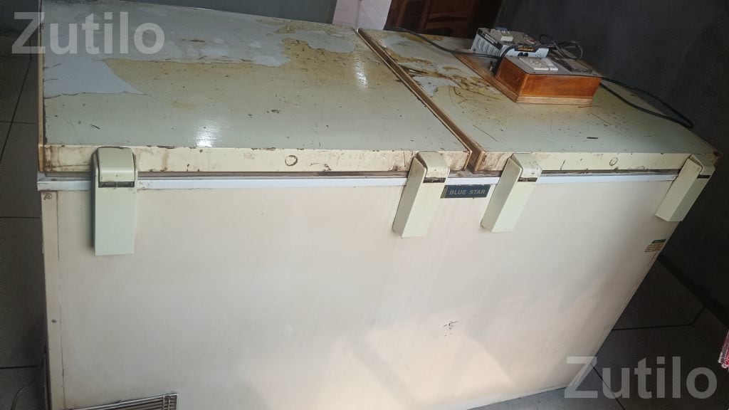 Blue Star Deep Freezer Used Working - Refrigerators - Ranpur - Image 4