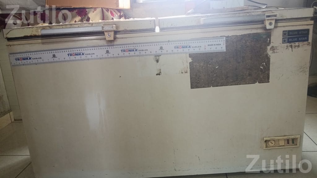 Blue Star Deep Freezer Used Working