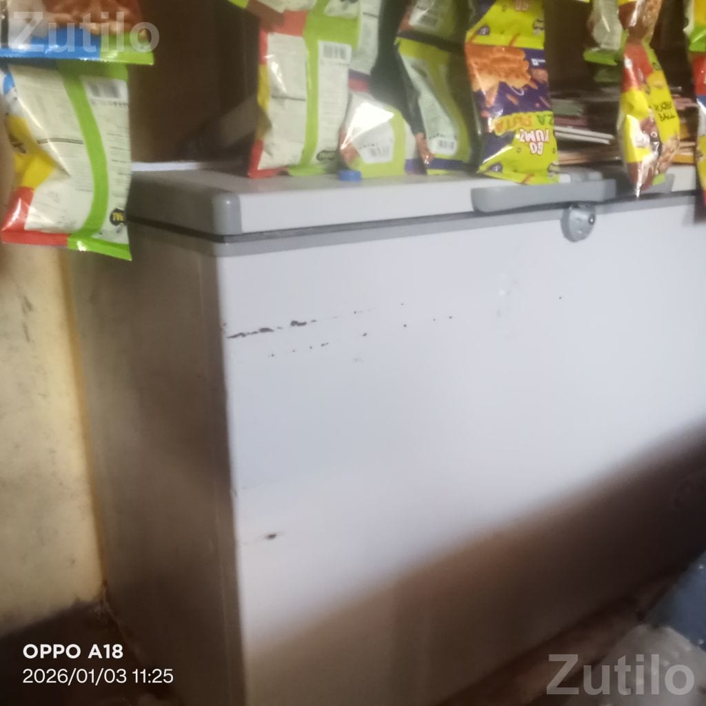 Commercial Deep Freezer for Shop Use - Refrigerators - Kutiyana - Image 3