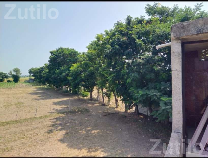 Road Touch Plot with House on Bagodara Highway - Land & Plots - Dholka - Image 2