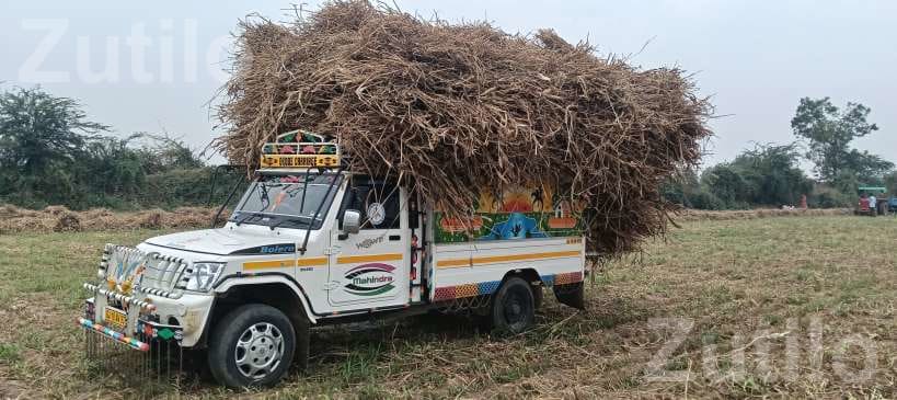 Mahindra Bolero Maxx Truck Plus 2013 - Trucks & Lorries - Bhabhar - Image 3