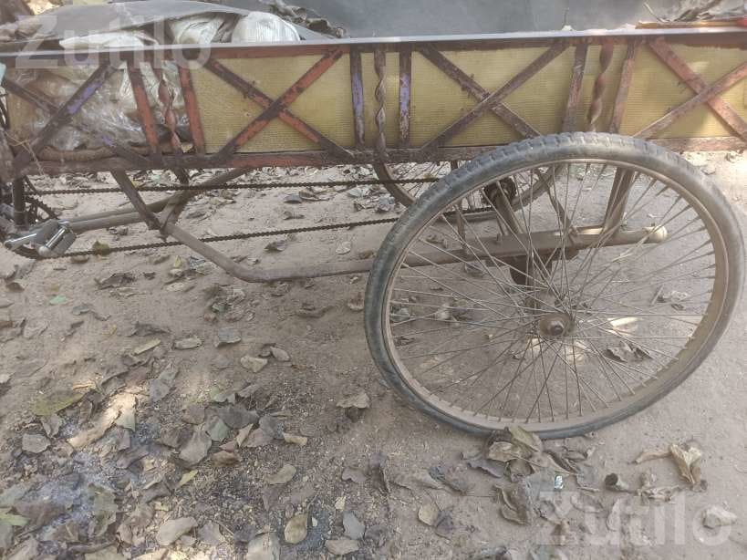 Pedal Rickshaw Cargo Cycle Cart