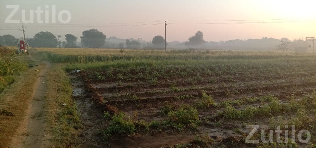 6.20 Bigha Agricultural Land for Sale - Land & Plots - Palanpur - Image 4