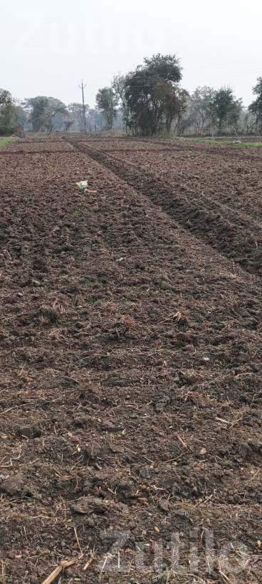 Agricultural Land Plot for Sale