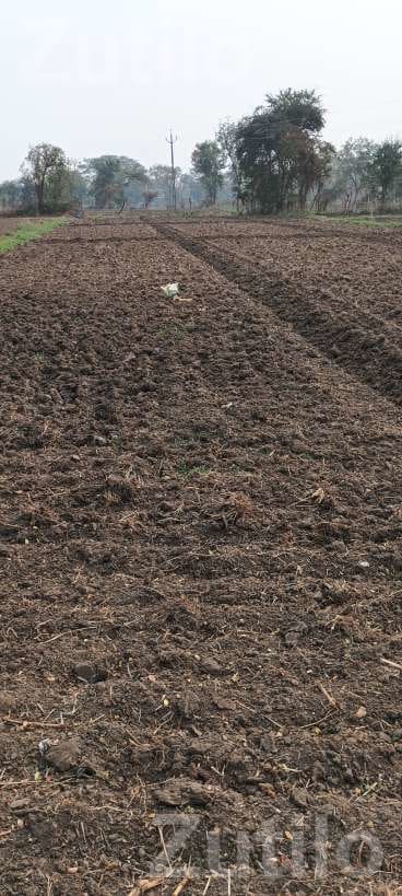 Agricultural Land Plot for Sale - Land & Plots - Anklav - Image 2